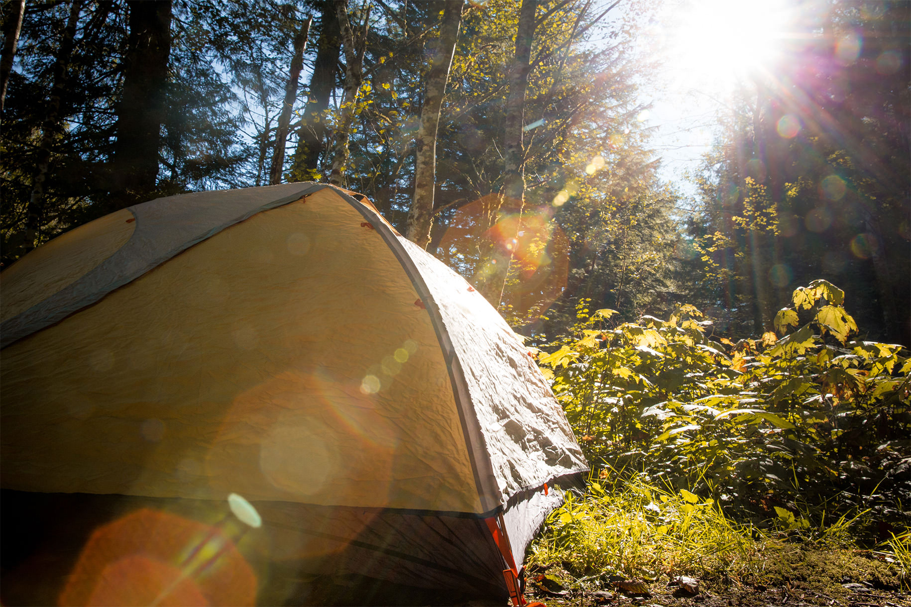 12-tips-for-camping-in-the-rain-wetrek_vn