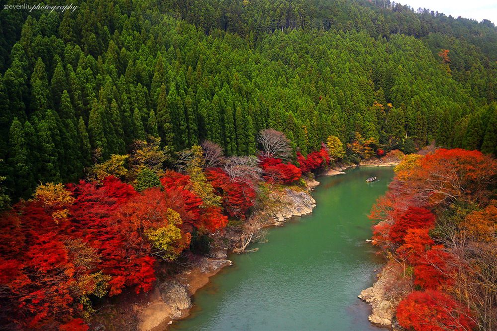 Anh-dep-rung-truc-Sanago-Kyoto