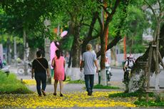 Phuong-vang-o-Hue-wetrekvn