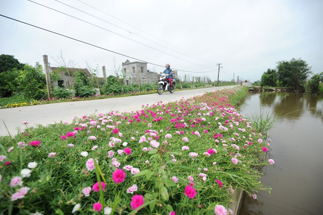 con-duong-hoa-muoi-gio-nam-dinh-wetrekvn 