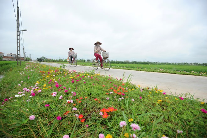 con-duong-hoa-muoi-gio-nam-dinh-wetrekvn 