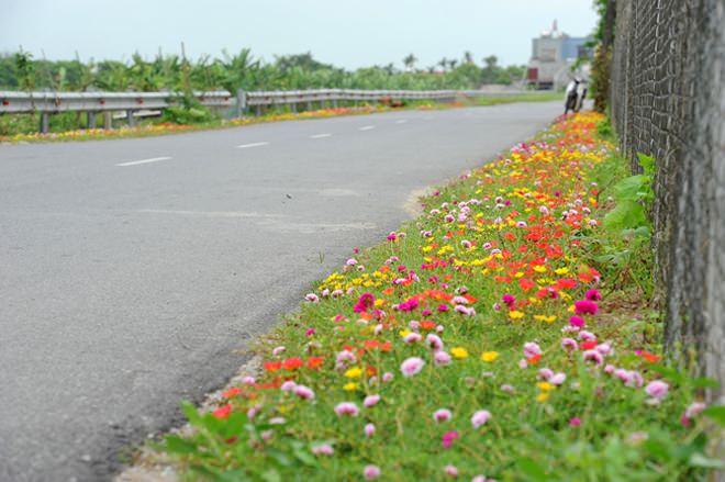 con-duong-hoa-muoi-gio-nam-dinh-wetrekvn 