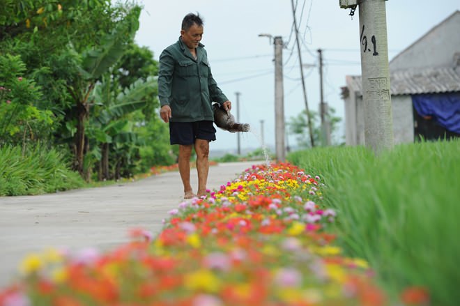 con-duong-hoa-muoi-gio-nam-dinh-wetrekvn 