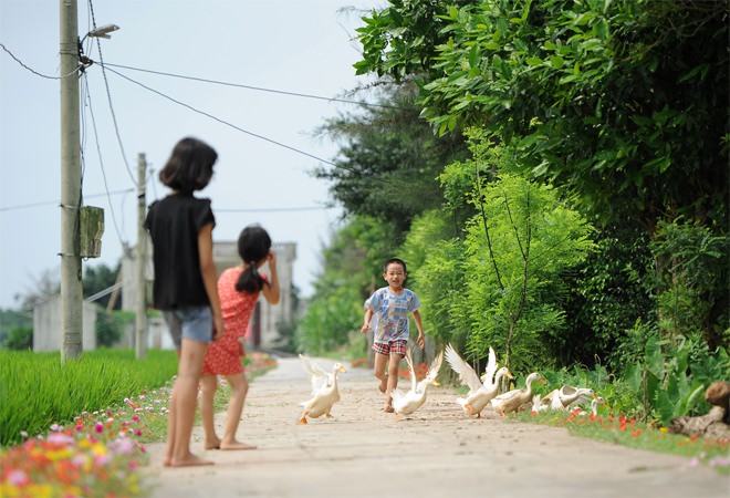 con-duong-hoa-muoi-gio-nam-dinh-wetrekvn 