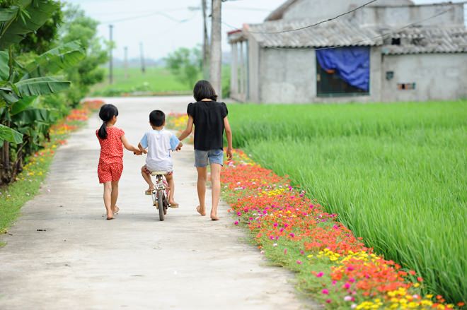 con-duong-hoa-muoi-gio-nam-dinh-wetrekvn 