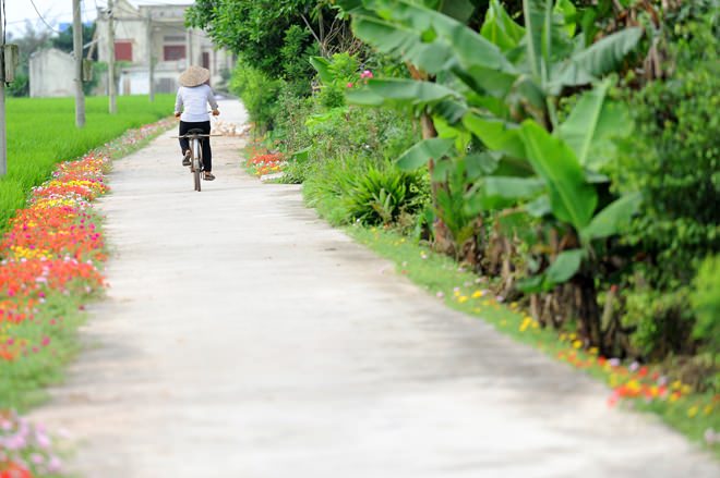con-duong-hoa-muoi-gio-nam-dinh-wetrekvn 