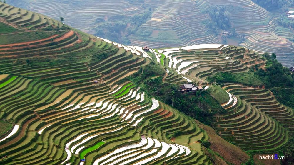 Cung-duong-hiem-Du-Gia-Mau-Due-wetrekvn 
