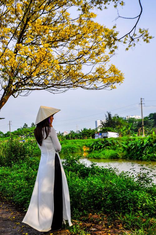 Con-duong-hoa-diep-ruc-vang-ngoai-o-Ha-Noi-wetrekvn