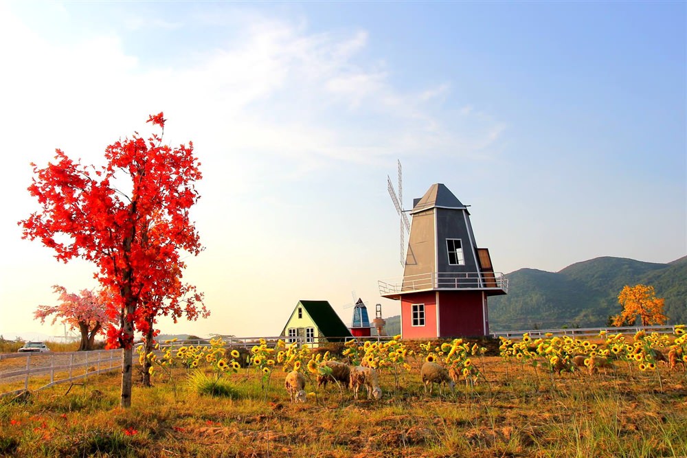 Khu-dien-anh-da-ngoai-Da-Nang 