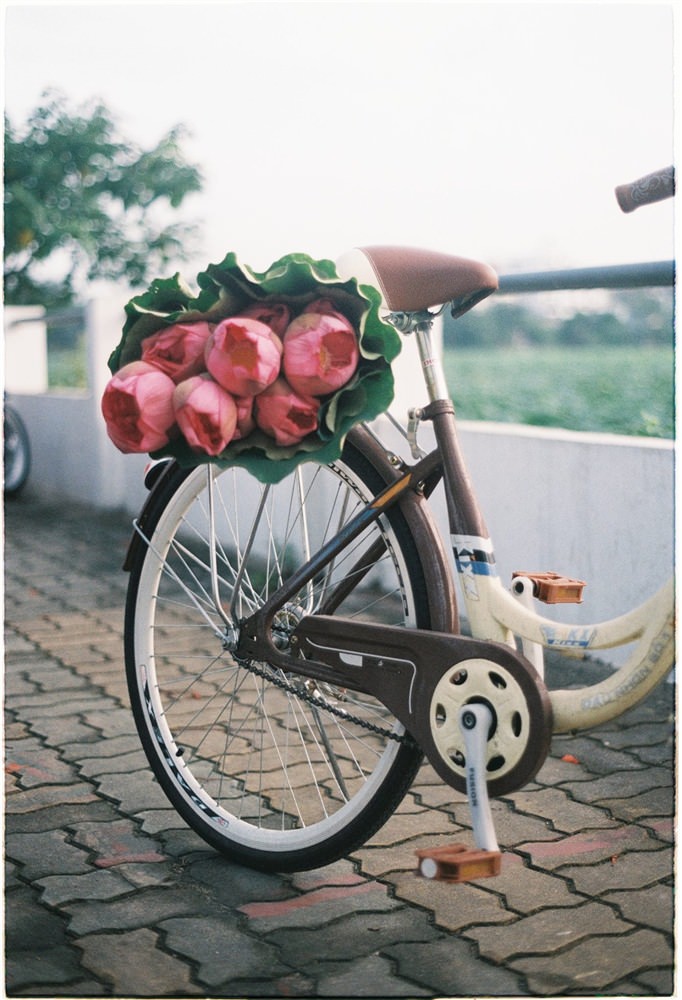 Ha-Noi-diu-dang-thom-ngat-mua-sen-wetrekvn 
