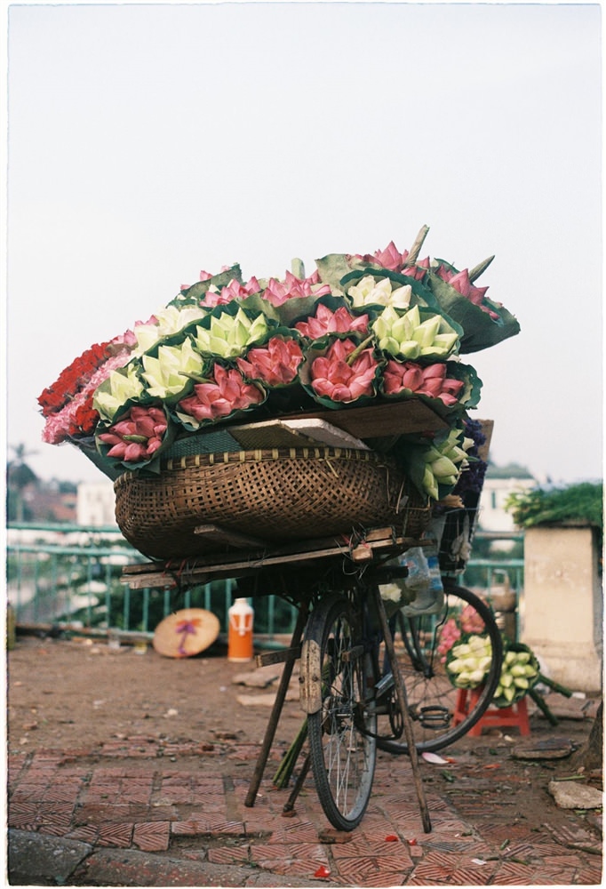 Ha-Noi-diu-dang-thom-ngat-mua-sen-wetrekvn 