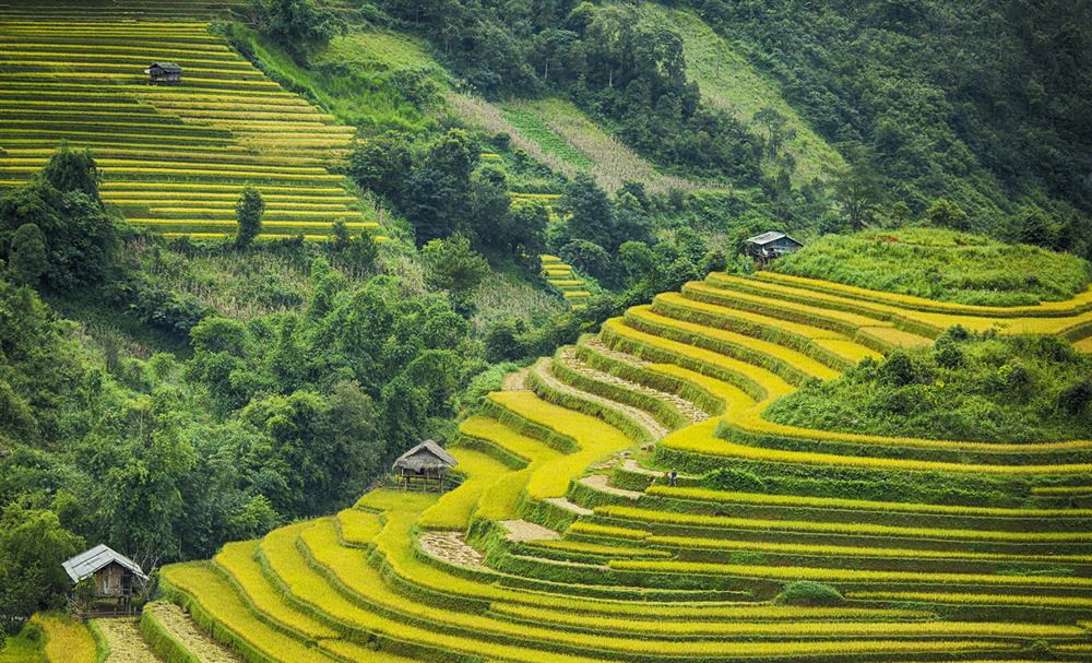 Mu-Cang-Chai-Nac-thang-len-thien-duong