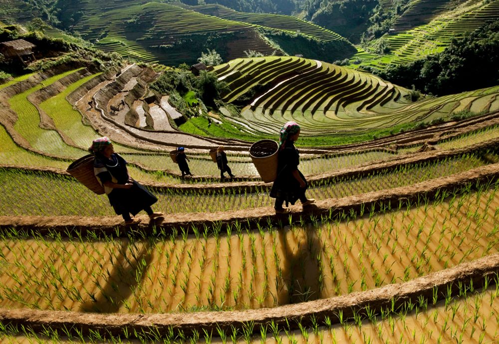 Mu-Cang-Chai-Nac-thang-len-thien-duong