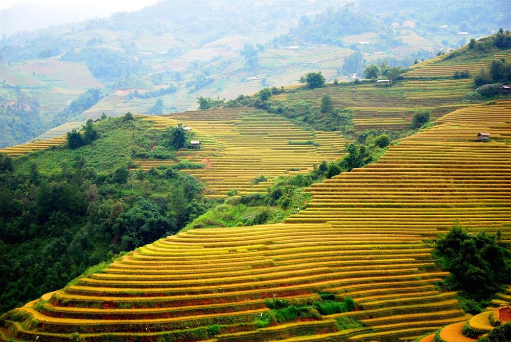 Mu-Cang-Chai-Nac-thang-len-thien-duong