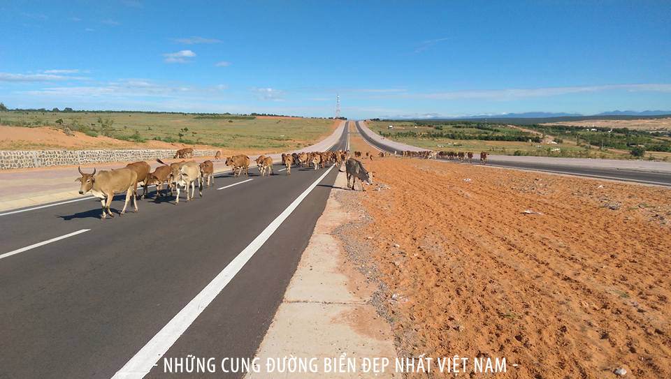 Cung-duong-bien-dep-nhat-Viet-Nam-wetrekvn 
