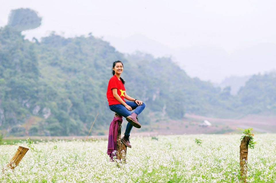 Hoa cải WETREKVN