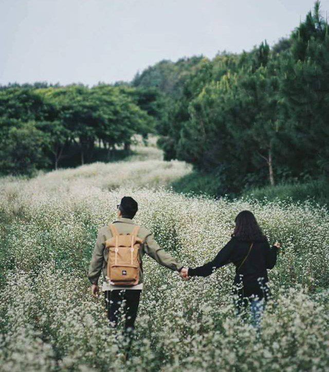 Da-Lat-dep-lang-man-nhu-Mv-Dieu-buon-ten-quang-vinh-wetrekvn.jpg