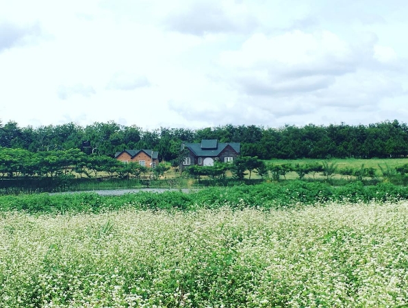 Da-Lat-dep-lang-man-nhu-Mv-Dieu-buon-ten-quang-vinh-wetrekvn.jpg