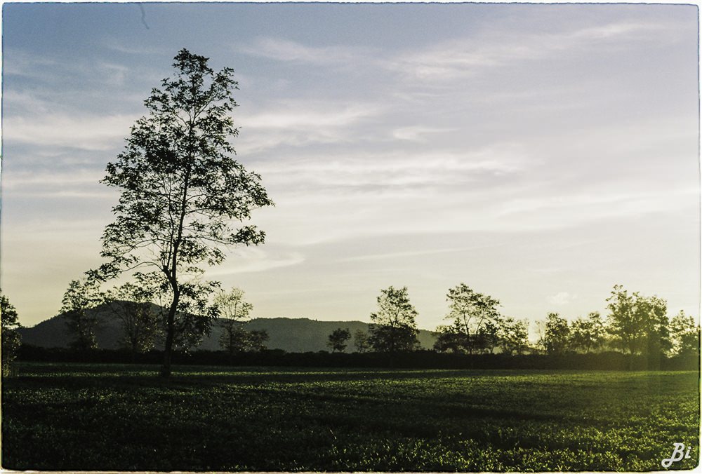 pleiku-wetrek