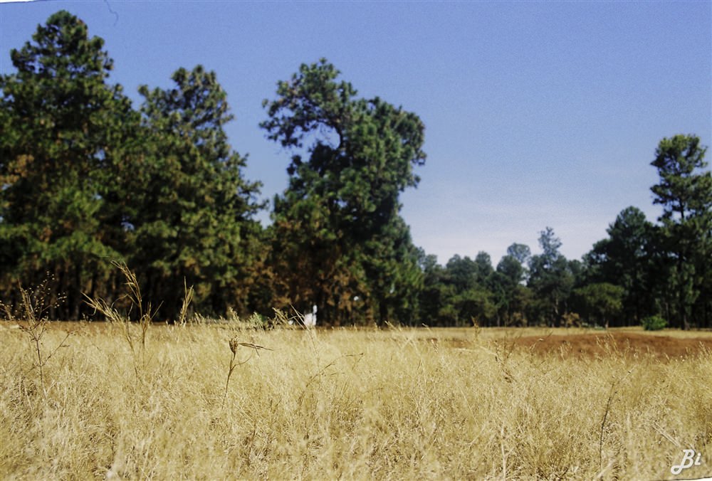pleiku-wetrek