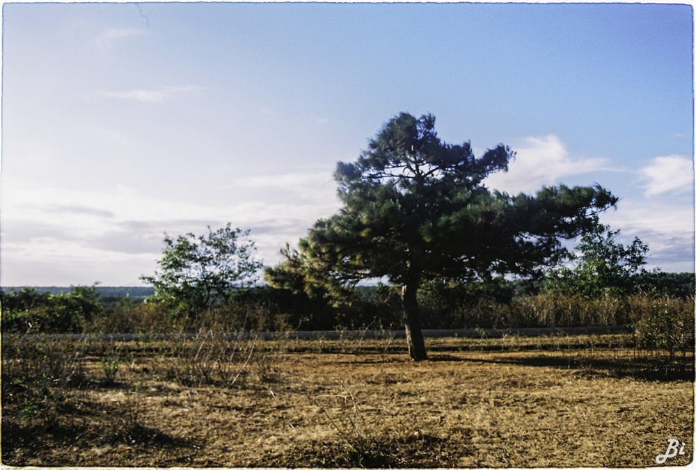 pleiku-wetrek