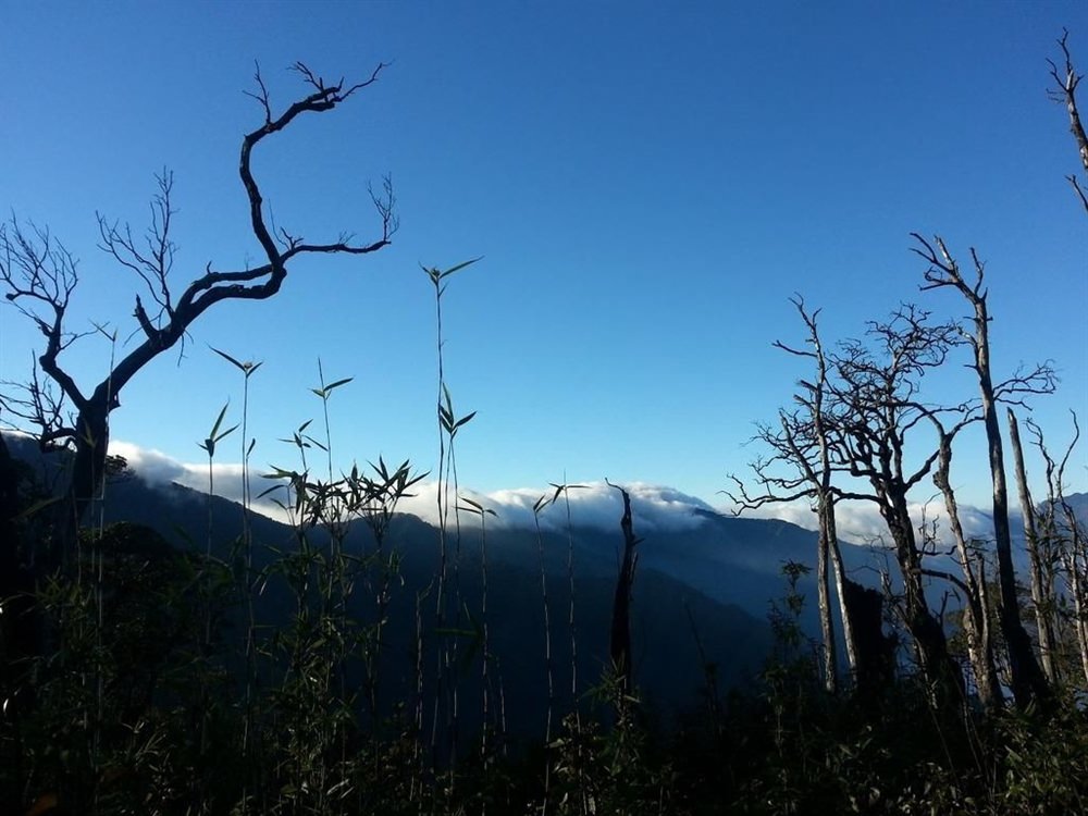 anh-dep-ta-xua-suu-tam-WETREK.VN.jpg
