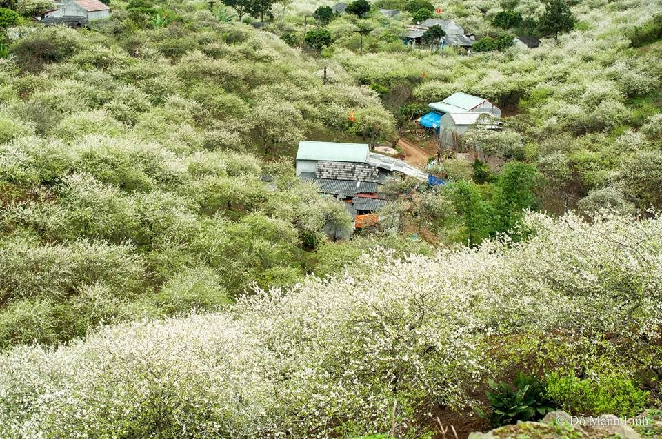 xuan-Moc-Chau-WETREK.VN