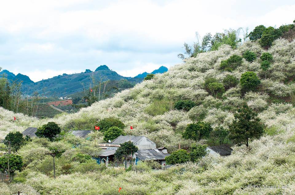 xuan-Moc-Chau-WETREK.VN