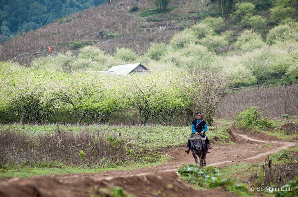 xuan-Moc-Chau-WETREK.VN