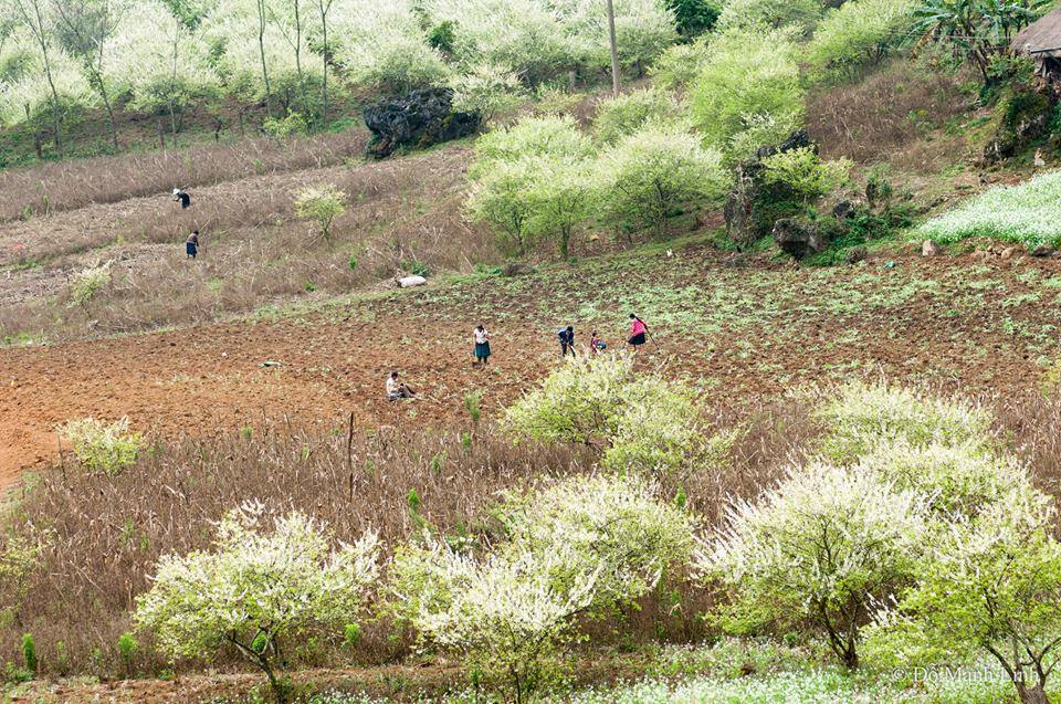 xuan-Moc-Chau-WETREK.VN