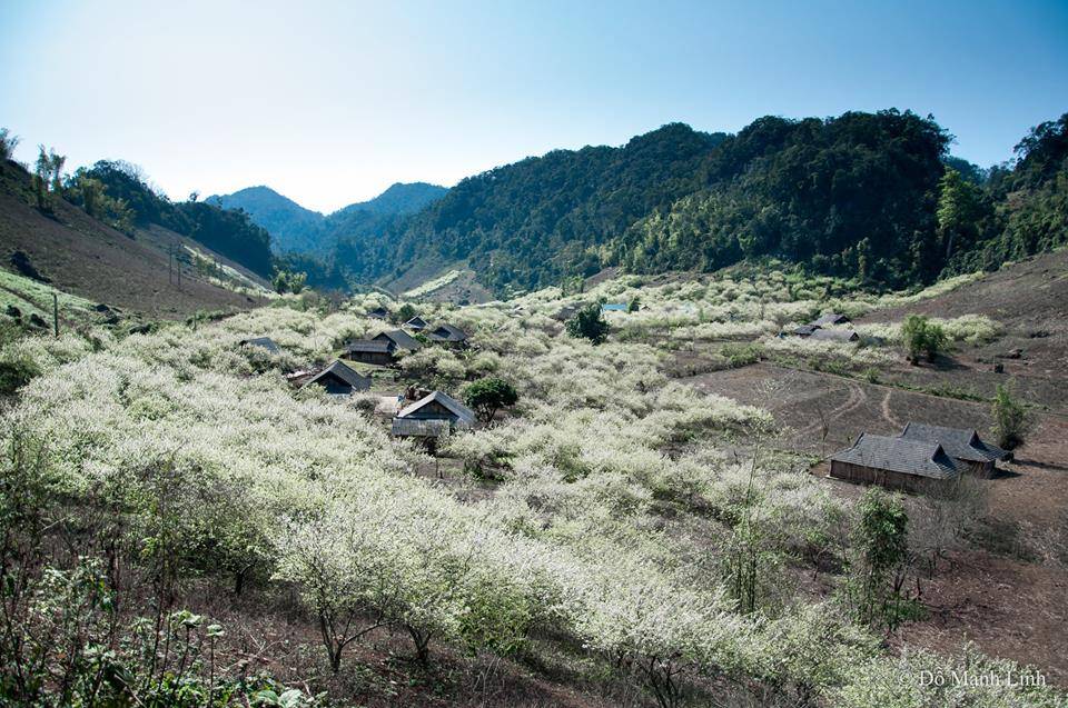 xuan-Moc-Chau-WETREK.VN