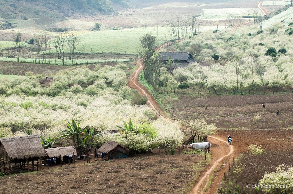 xuan-Moc-Chau-WETREK.VN