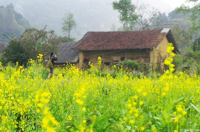 xuan-ha-giang-wetrek.vn
