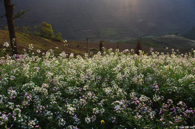 xuan-ha-giang-wetrek.vn