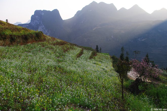 xuan-ha-giang-wetrek.vn