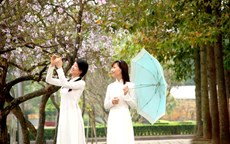 khuc-giao-mua-thang-3-hanoi-wetrek.vn