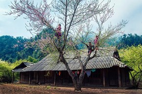 XUÂN MỘC CHÂU (Đỗ Mạnh Linh)