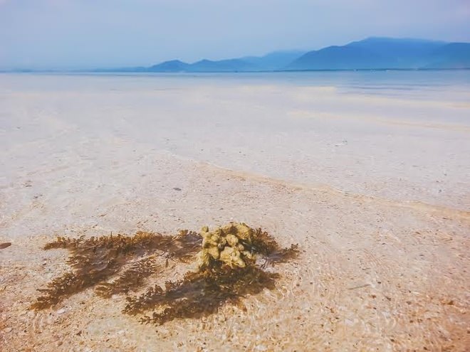 Quần đảo điệp sơn