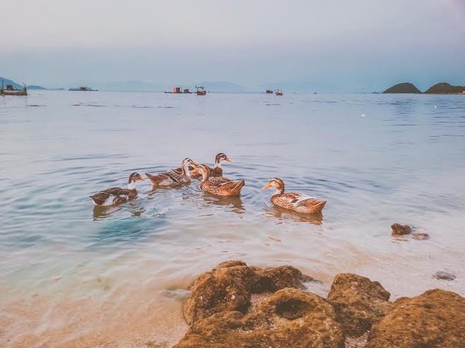 Quần đảo điệp sơn