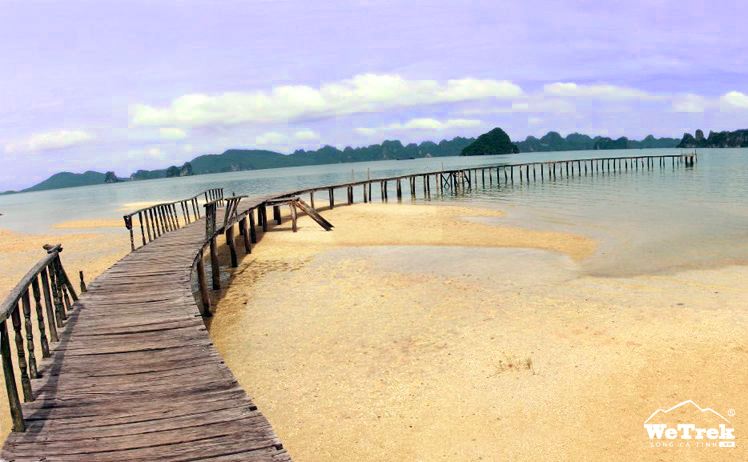 cau-tinh-yeu.jpg