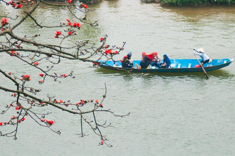 Anh-dep-hoa-gao-tháng-3