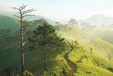 Trekking-Ta-Nang-Phan-Dung