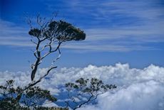 Kinabalu-Malaysia-wetrekvn