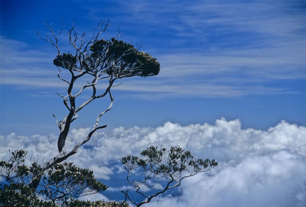 Kinabalu-Malaysia-wetrekvn