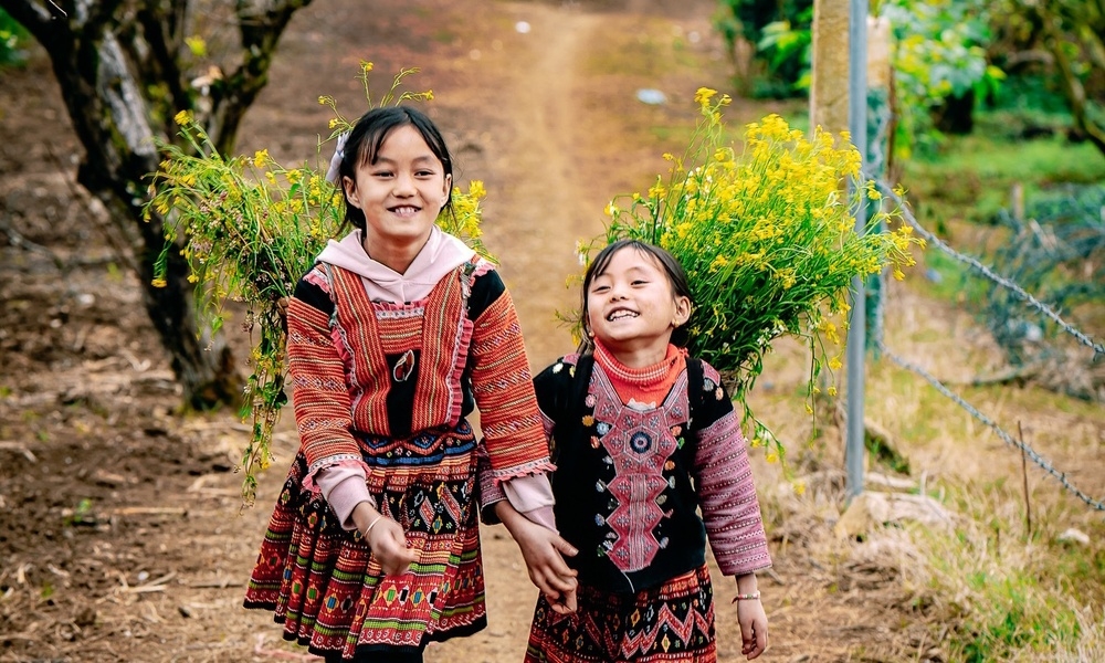 Hoa cải WETREKVN