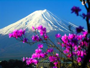 Núi Phú Sĩ - Biểu tượng Văn hóa Nhật Bản đẹp suốt bốn mùa