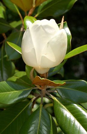 Du lịch Thế giới - Thiên nhiên đẹp 18