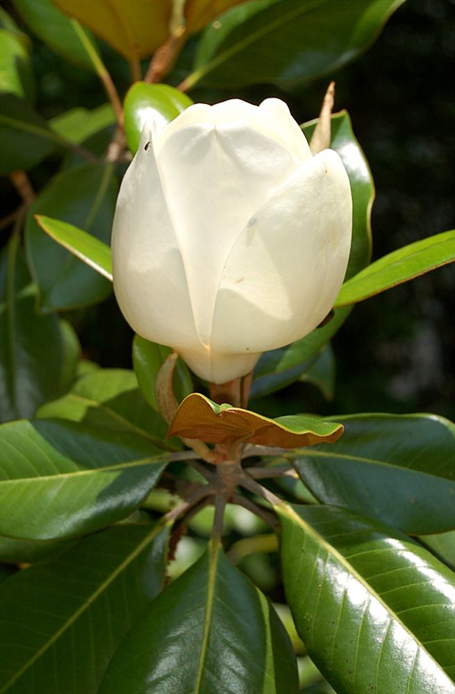 Du lịch Thế giới - Thiên nhiên đẹp 18