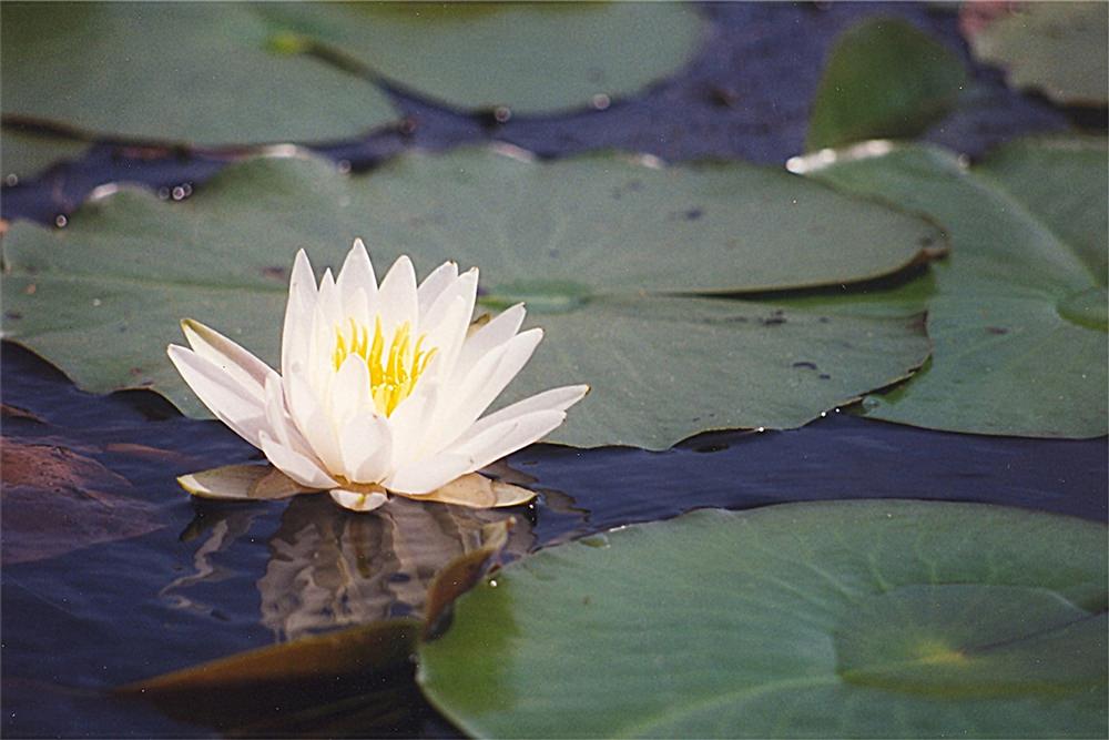 Du lịch Thế giới - Thiên nhiên đẹp 19