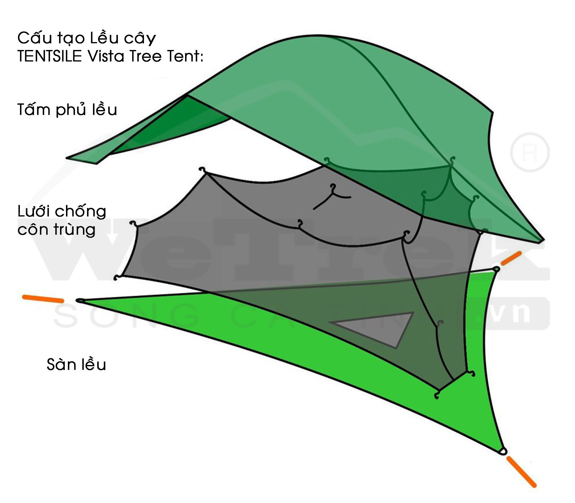 leu-cay-3-nguoi-tentsile-vista-tree-ten-wetrek.vn